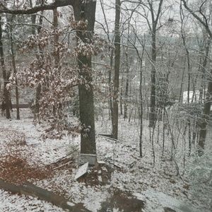 Meet your Posher, Pamela